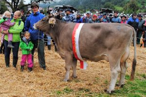 Miss OB Arth-Kssnacht_Harlei Helma_Marty Alois Goldau